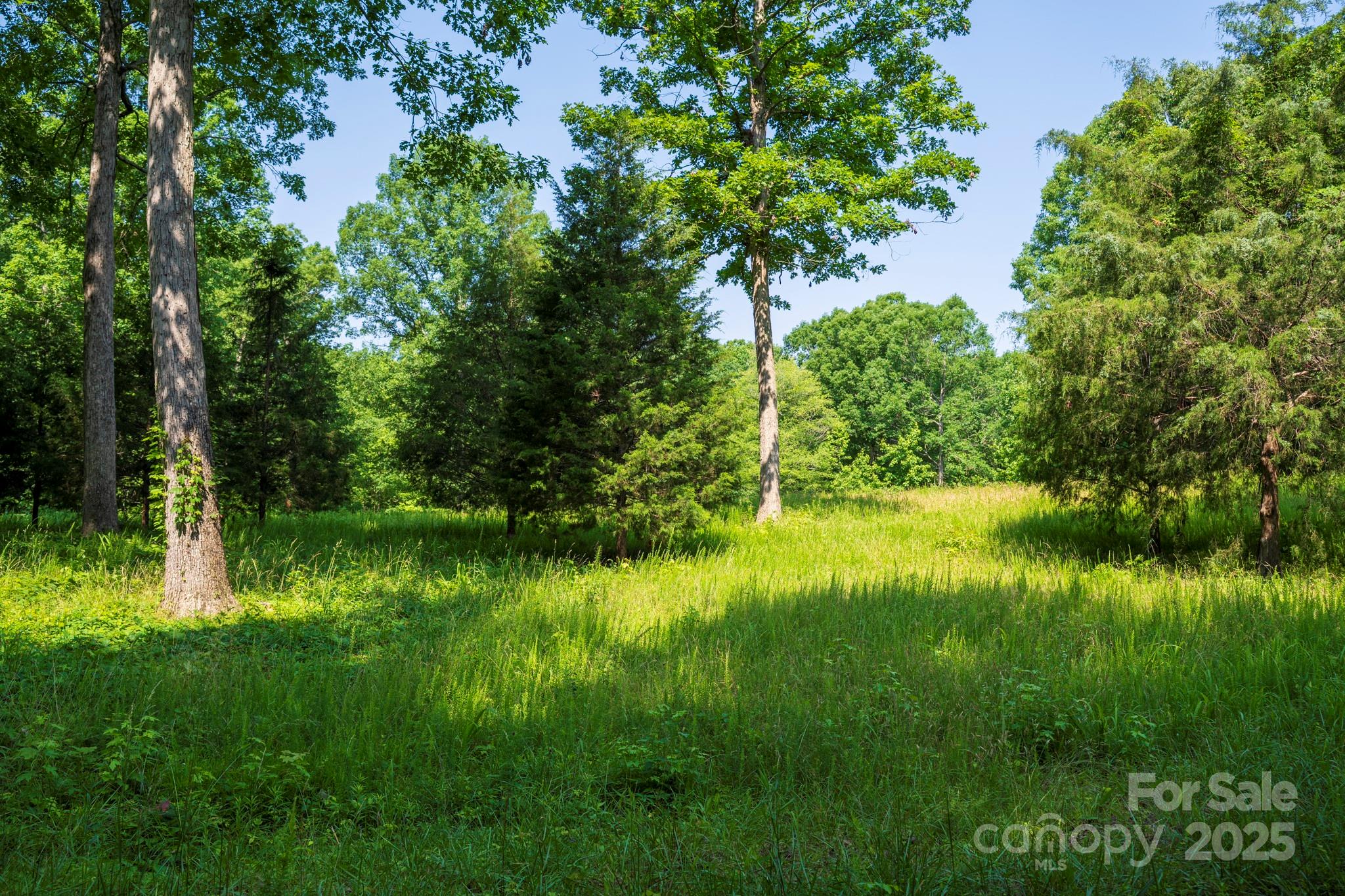 Lot 33 Valley Farm Road, Unit 33 Waxhaw, NC 28173 - Photo 9 of 35 a view of lake background with trees