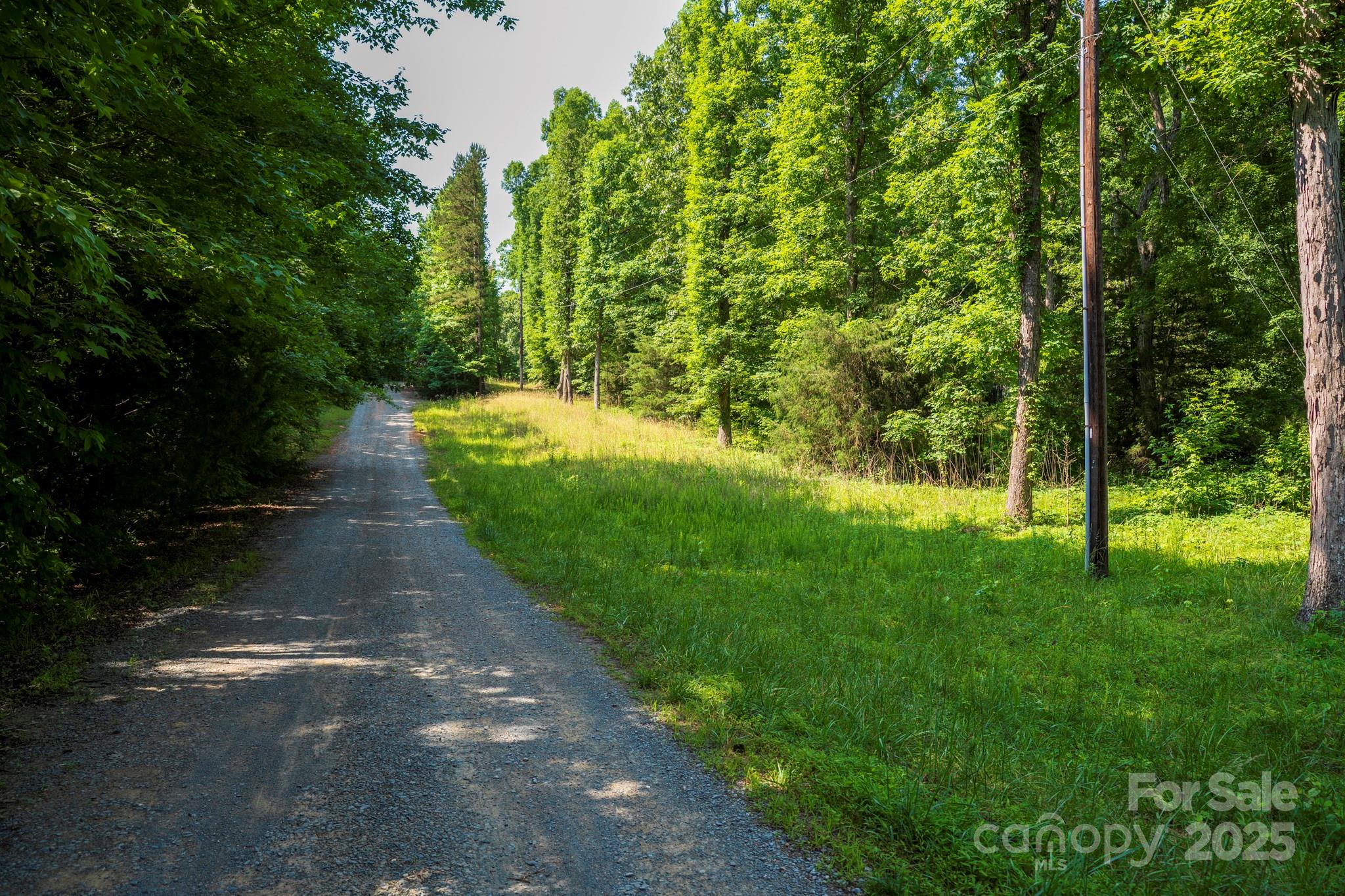 Lot 33 Valley Farm Road, Unit 33 Waxhaw, NC 28173 - Photo 10 of 35 a view of a yard with plants and large trees