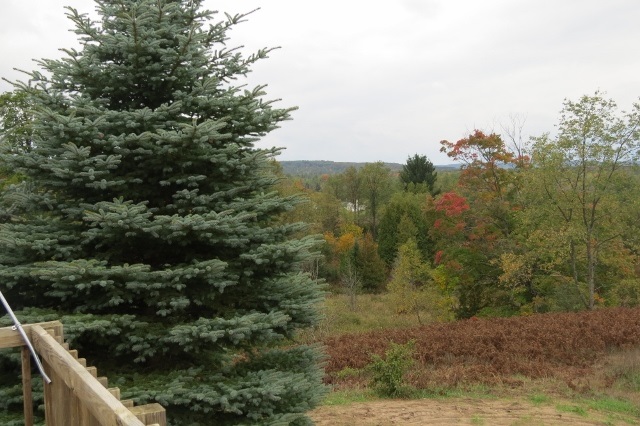 2660 Carpenter Road Bellaire, MI 49615 - Photo 37 of 47 1824203-36.JPG