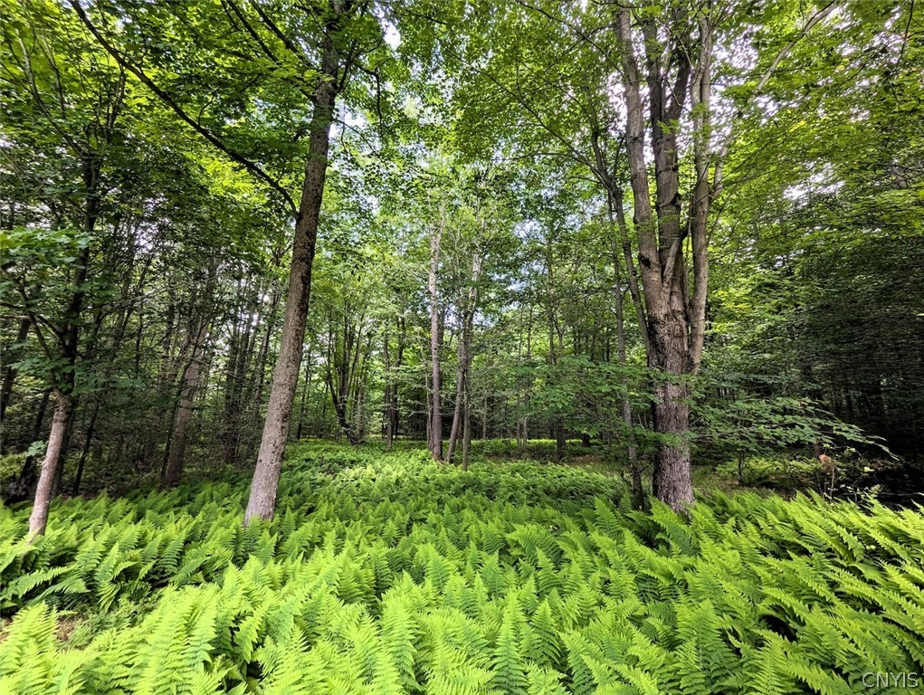 537 Maple Road West Union, NY 14877 - Photo 38 of 50