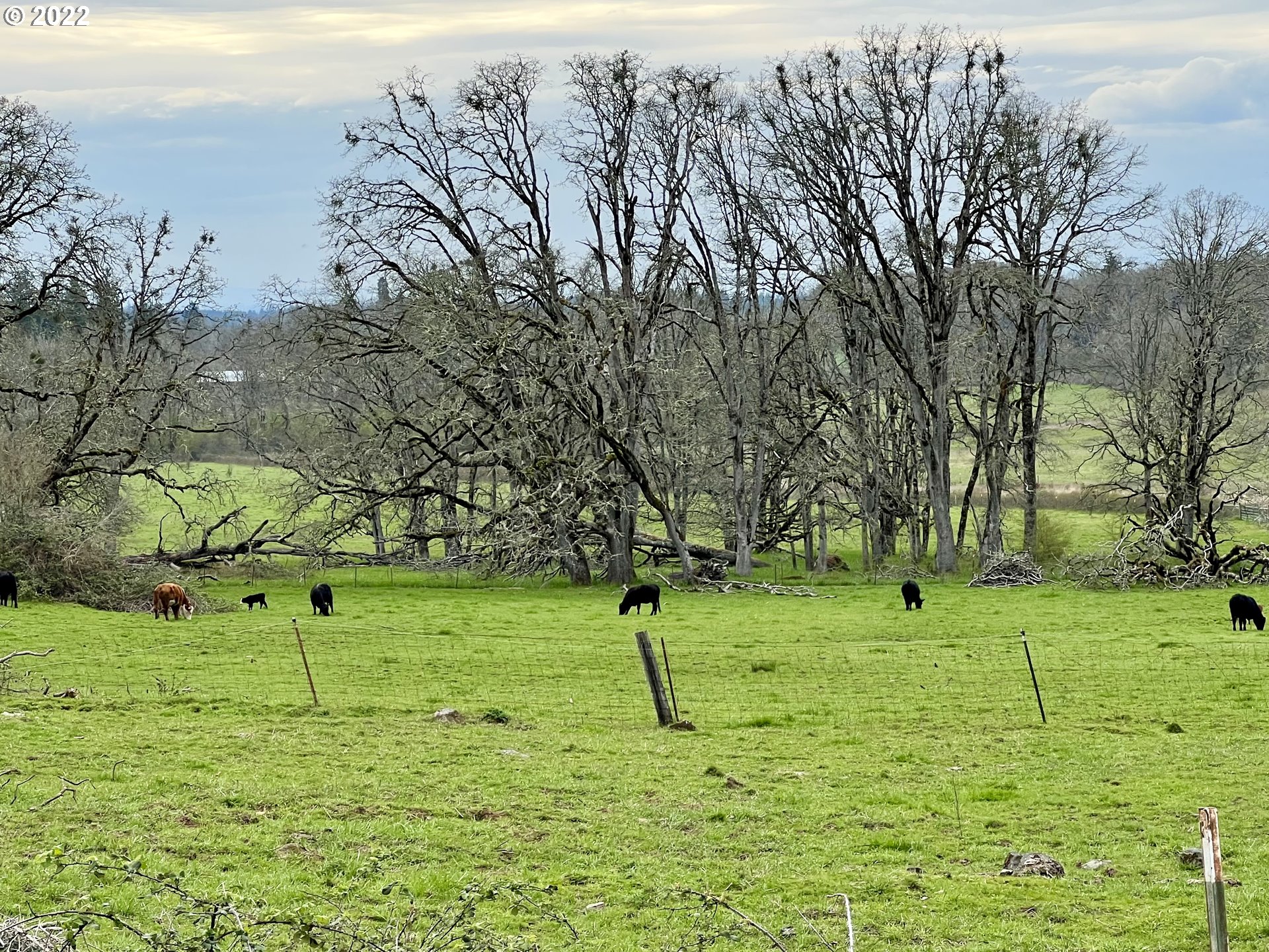 15368 South Herman Road Molalla, OR 97038 - Photo 19 of 32