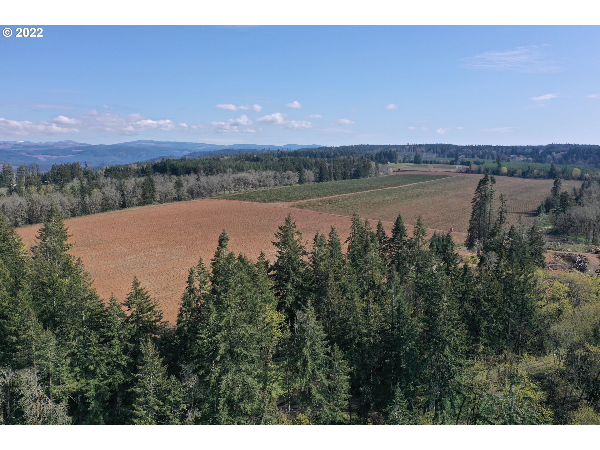 15368 South Herman Road Molalla, OR 97038 - Photo 27 of 32