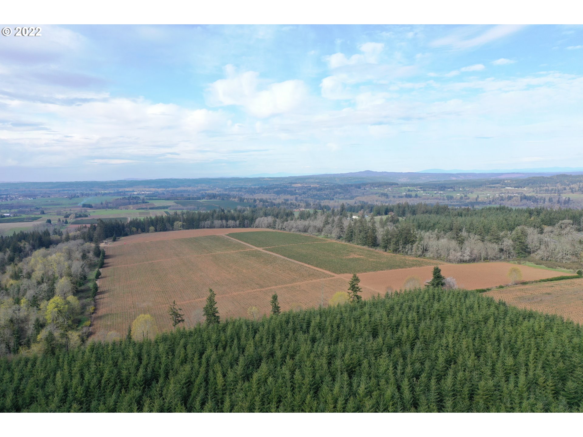 15368 South Herman Road Molalla, OR 97038 - Photo 28 of 32