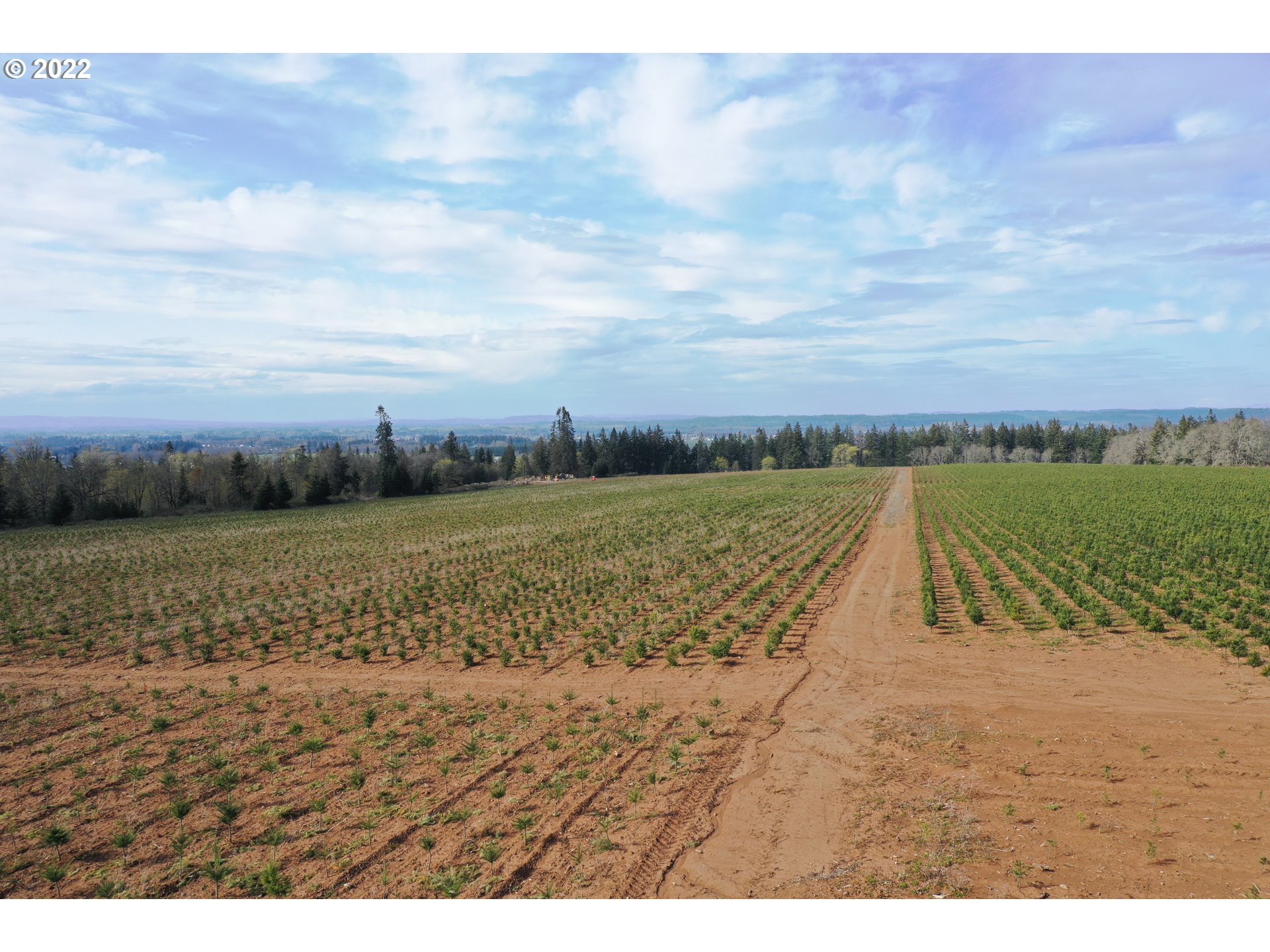 15368 South Herman Road Molalla, OR 97038 - Photo 29 of 32