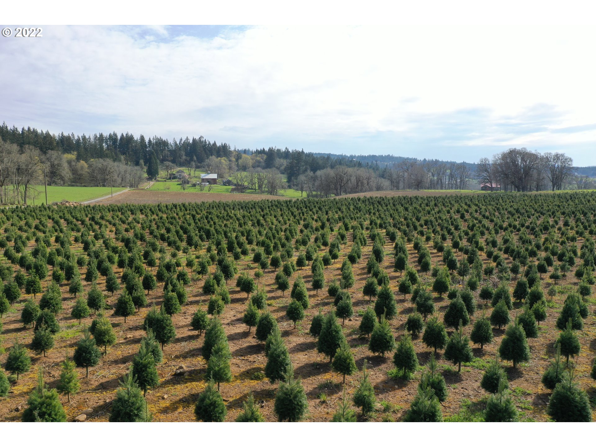 15368 South Herman Road Molalla, OR 97038 - Photo 30 of 32