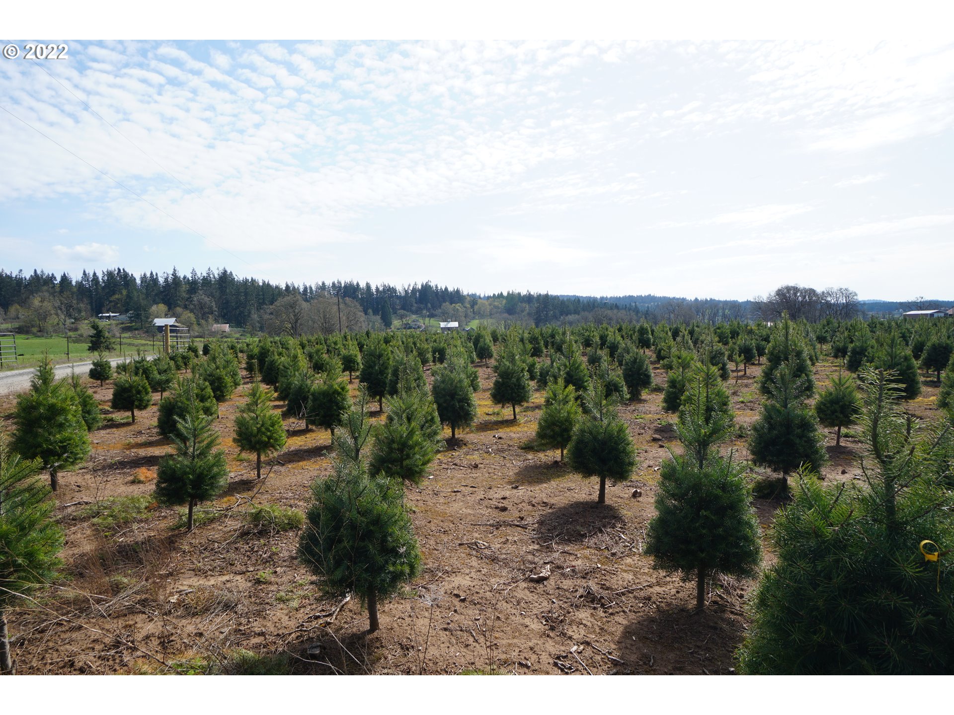 15368 South Herman Road Molalla, OR 97038 - Photo 31 of 32