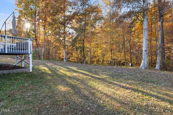 a view of backyard space and trees