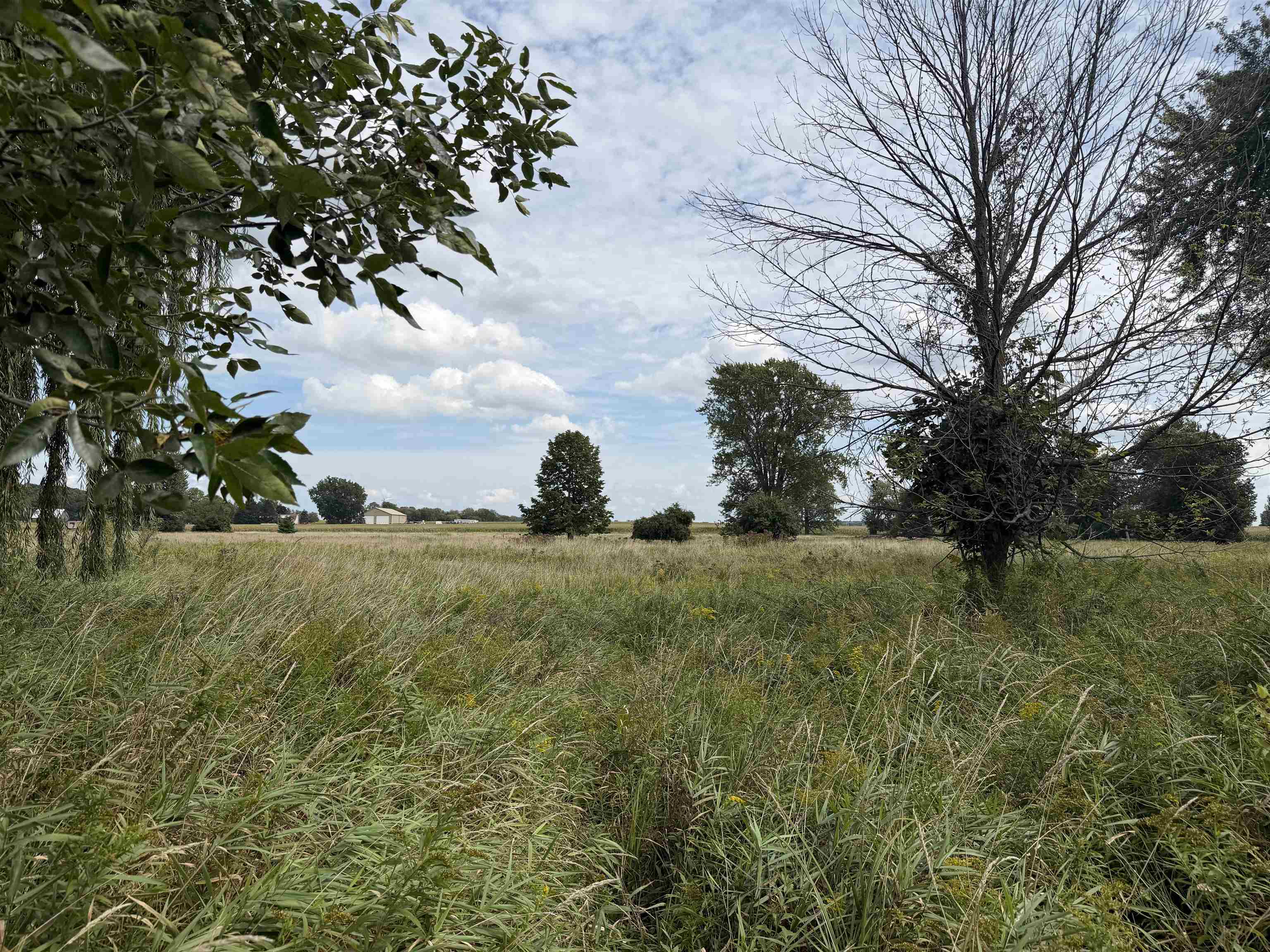 9000 North Winans Road Alma, MI 48801 - Photo 7 of 7 1950362-b8a95476-e9c5-409c-af87-7e3e1f4a1e48.JPG