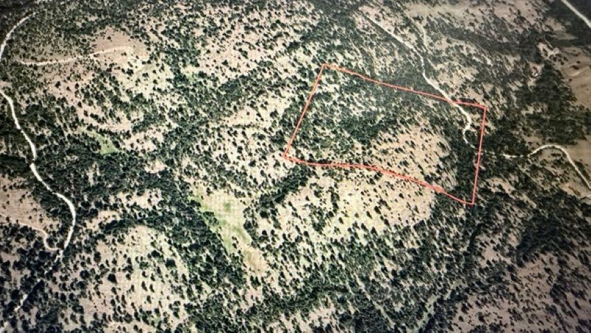 0 Nfd 3010 Road Oroville, WA 98844 - Photo 3 of 3