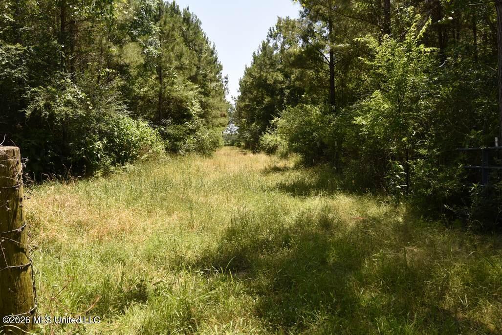 0 Miller Road Olive Branch, MS 38654 - Photo 13 of 26 5-15-2025-7-19-36-AM