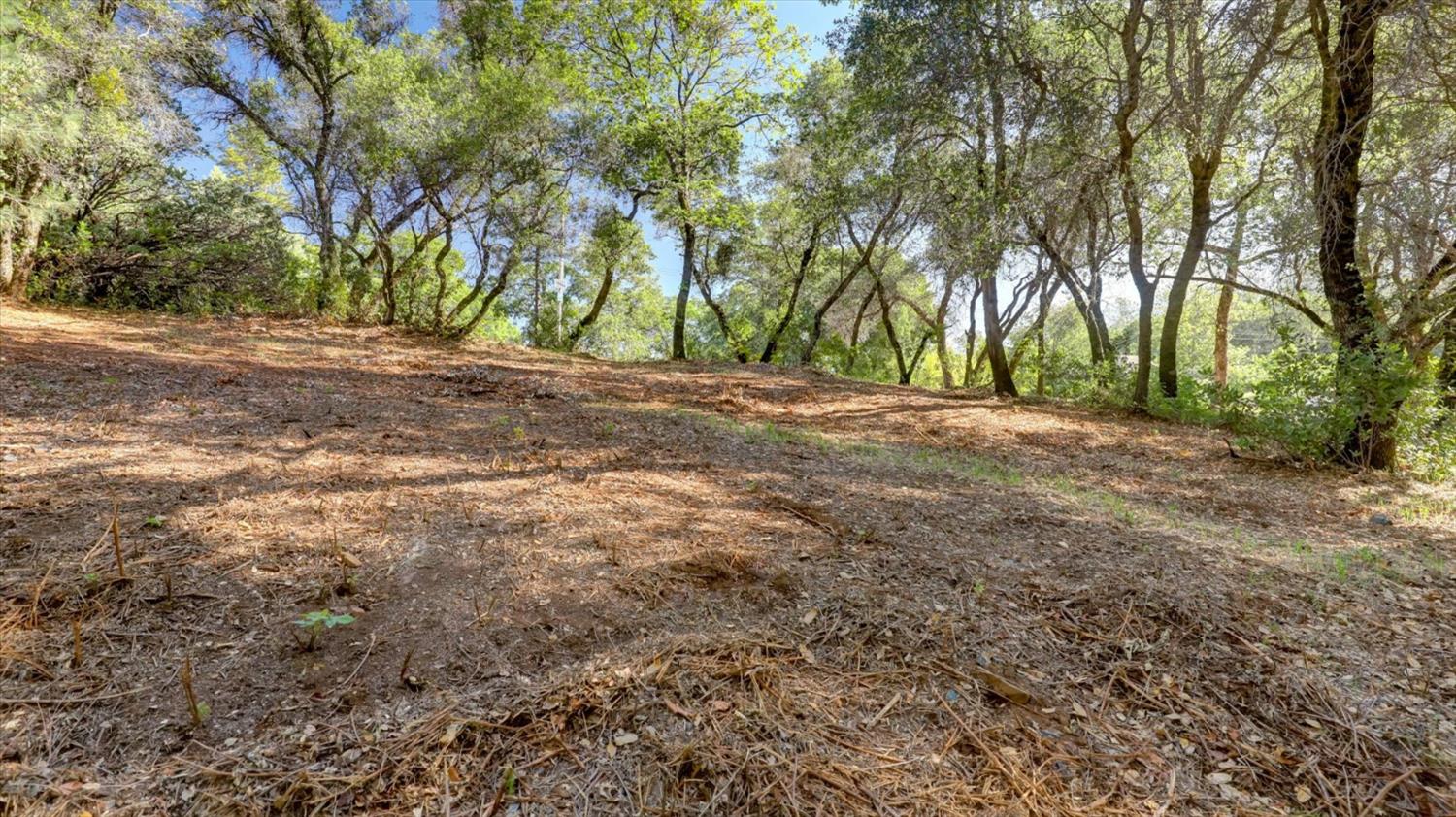 0 Southridge Road Penn Valley, CA 95946 - Photo 33 of 72
