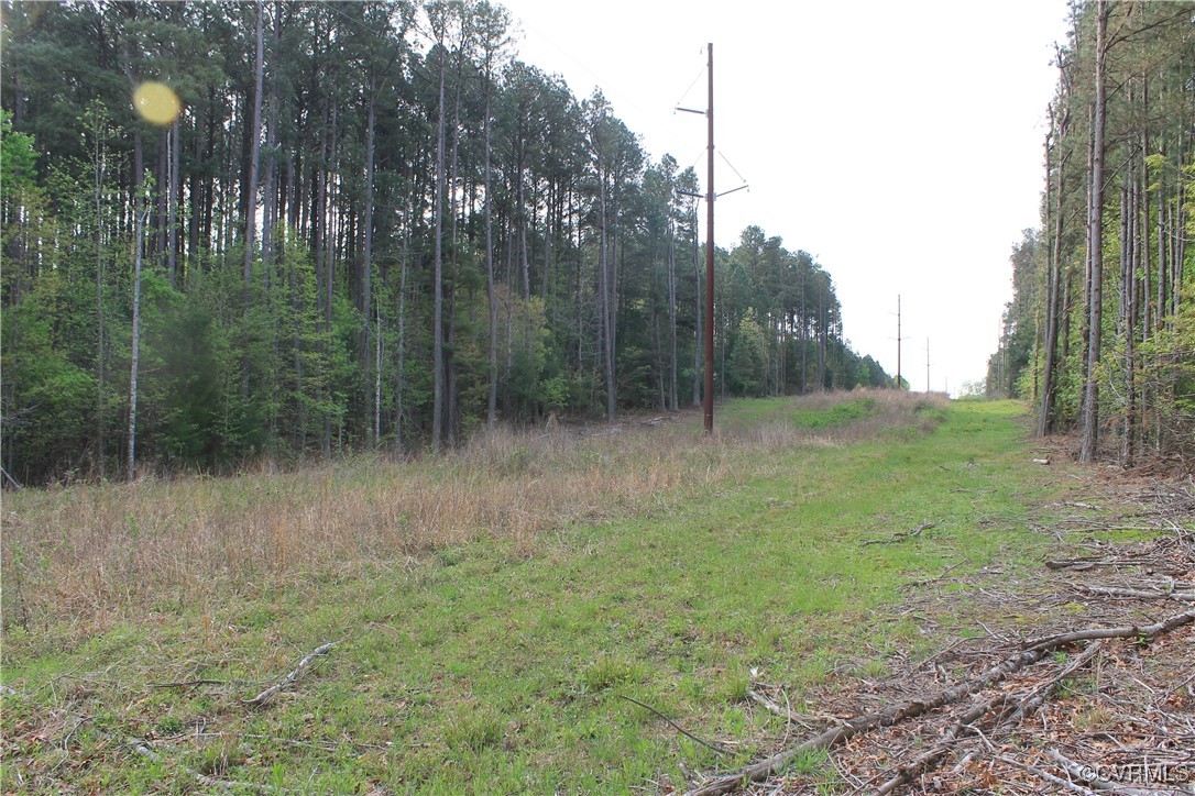 Tbd Grandy Road Brodnax, VA 23920 - Photo 14 of 28 View of nature