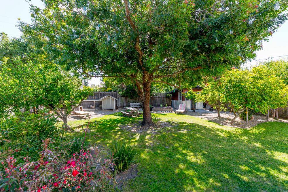 314 Spring Street Santa Cruz, CA 95060 - Photo 16 of 19 Gallery Image 16