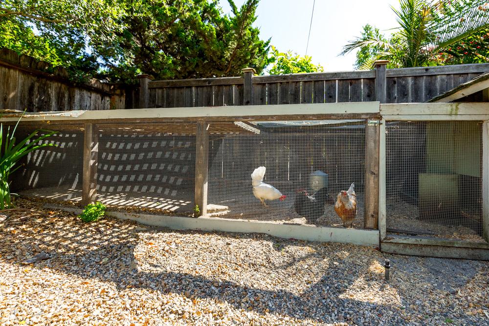314 Spring Street Santa Cruz, CA 95060 - Photo 17 of 19 Gallery Image 17