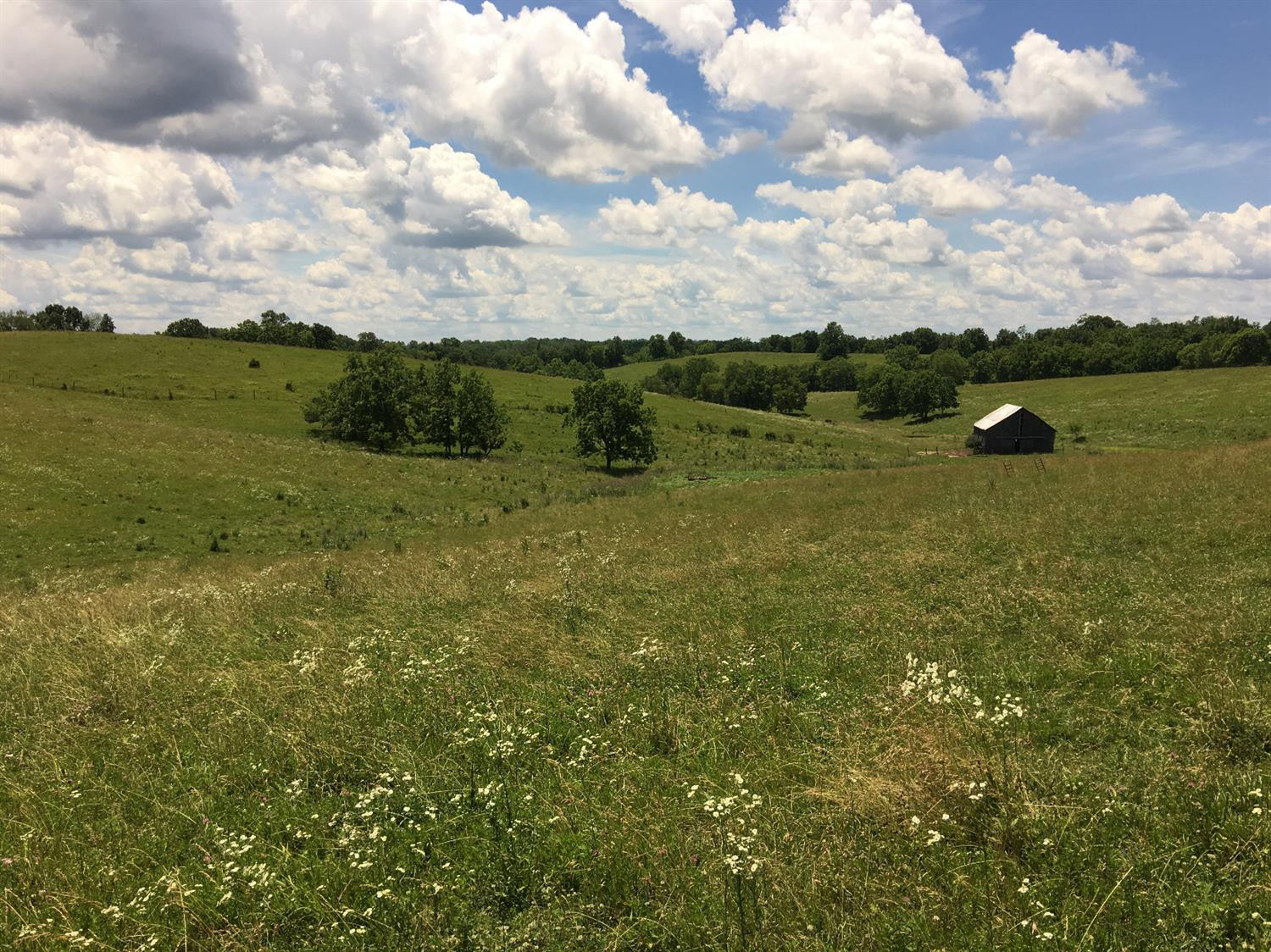 1591 Irvine Road Winchester, KY 40391 - Photo 8 of 8 Photo 8