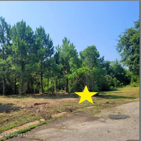 $18,995 | Lot #31 Pelican Cove Lane, Long Beach, MS 39560