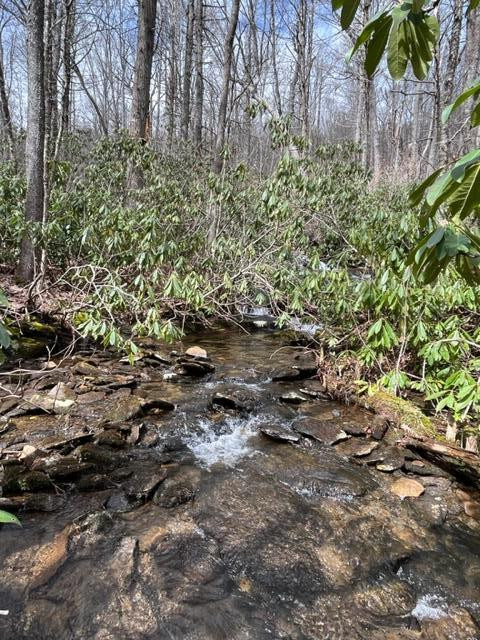 6 Squally Road Robbinsville, NC 28771 - Photo 10 of 19