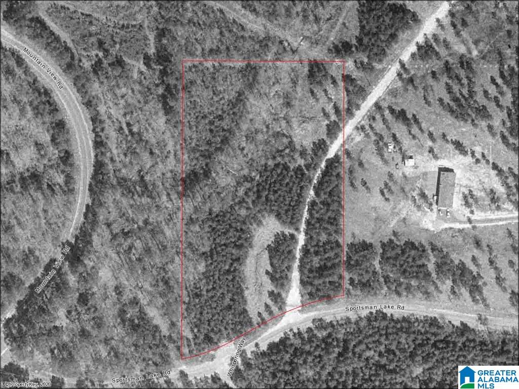 4040 Sportsman Lake Road, Unit 1 Odenville, AL 35120 - Photo 11 of 11