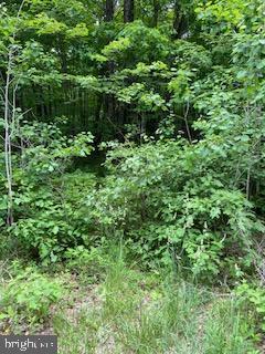 0 Panther Run Road Jim Thorpe, PA 18229 - Photo 2 of 2 Gallery Image 2