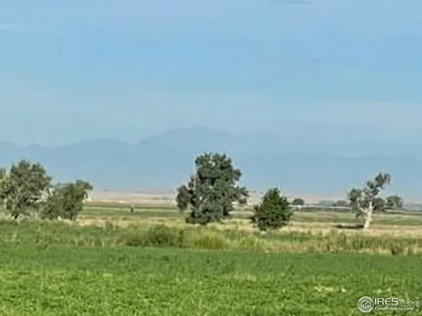 a view of a lake with a yard