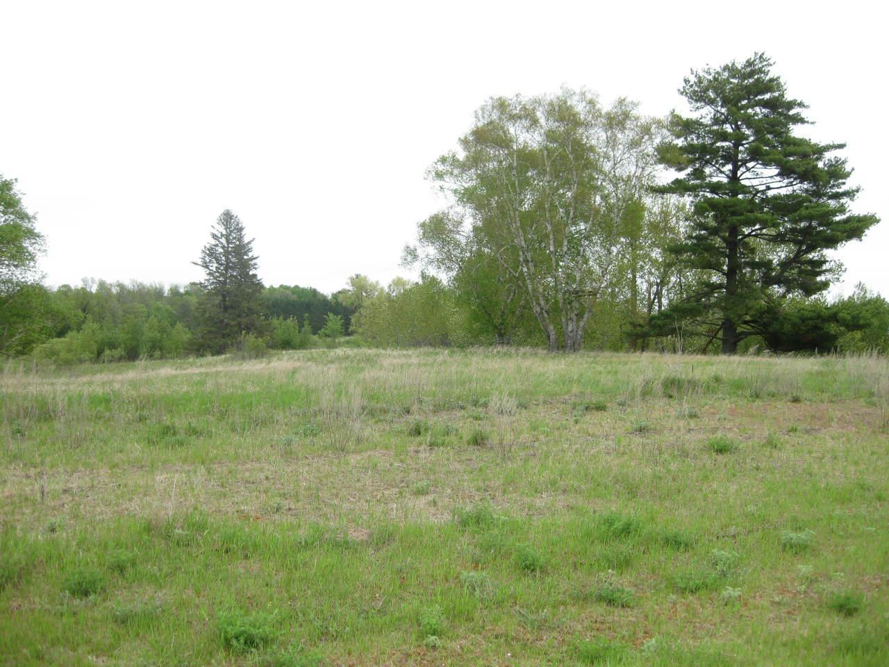 Tadpole Road Perham, MN 56573 - Photo 1 of 1 Gallery Image 1