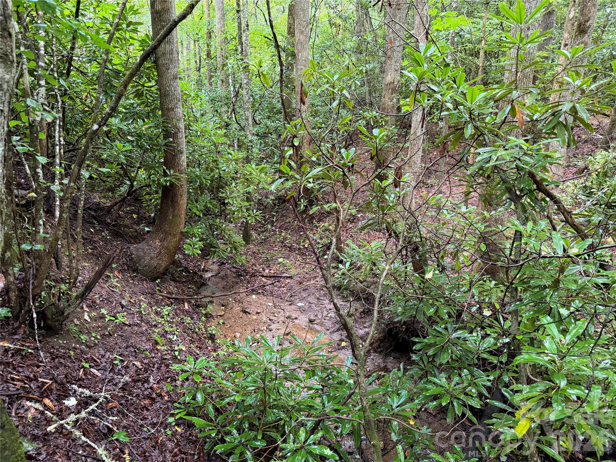 Off Donald McCall Road Balsam Grove, NC 28708 - Photo 35 of 47 Gallery Image 35