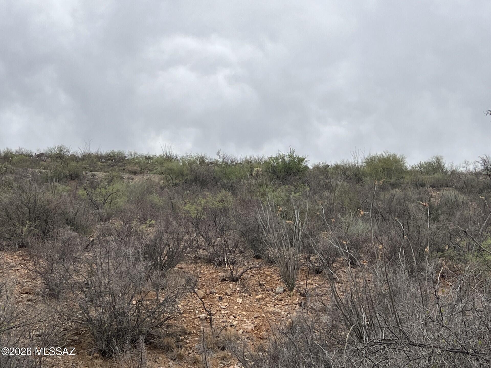 1835 Camino China, Unit 3 Rio Rico, AZ 85648 - Photo 8 of 19 a7a6d406-bdf7-4883-96ea-1c6aafed07e8