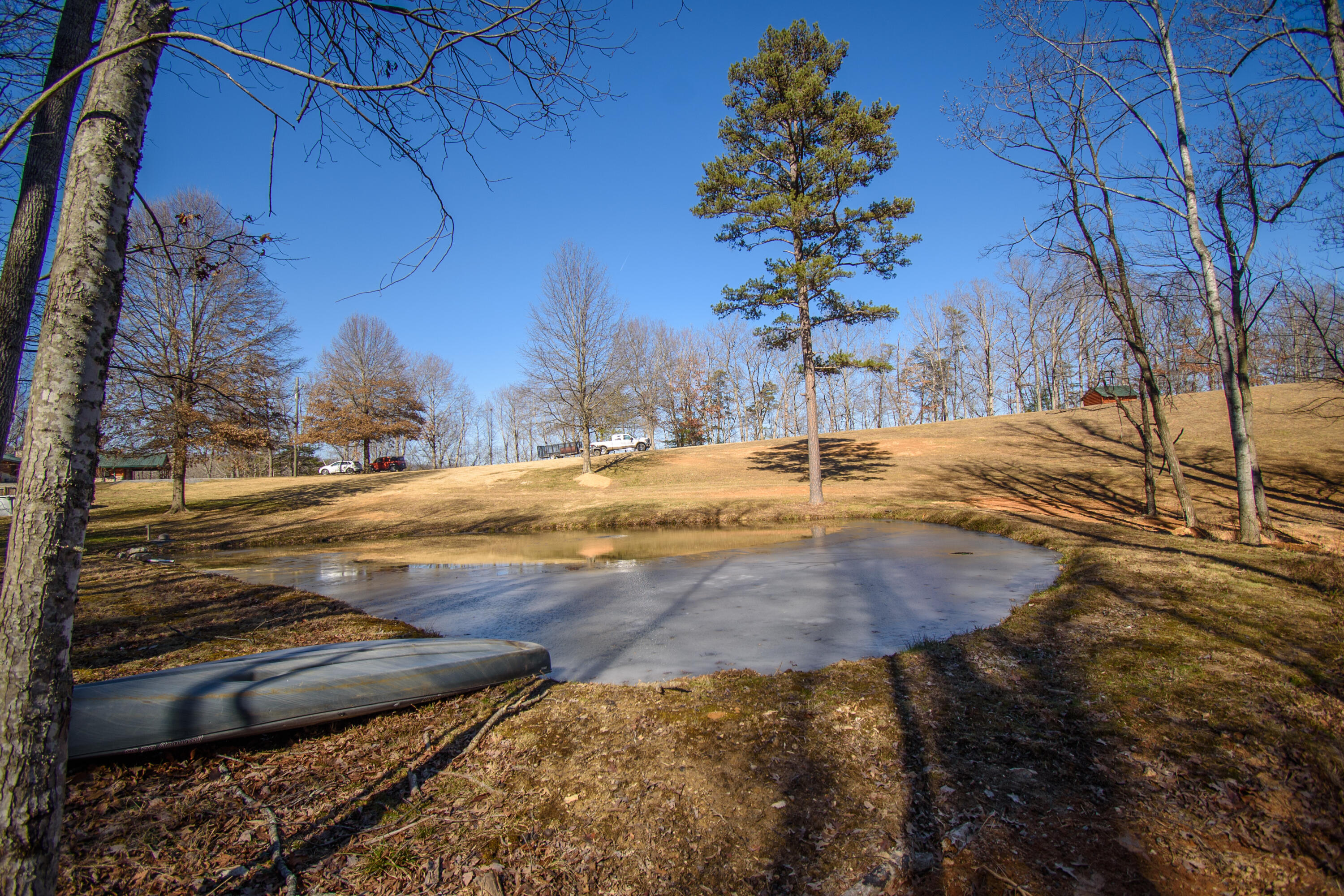 1804 Garlick Road Elliston, VA 24087 - Photo 60 of 95 a view of the yard of the house