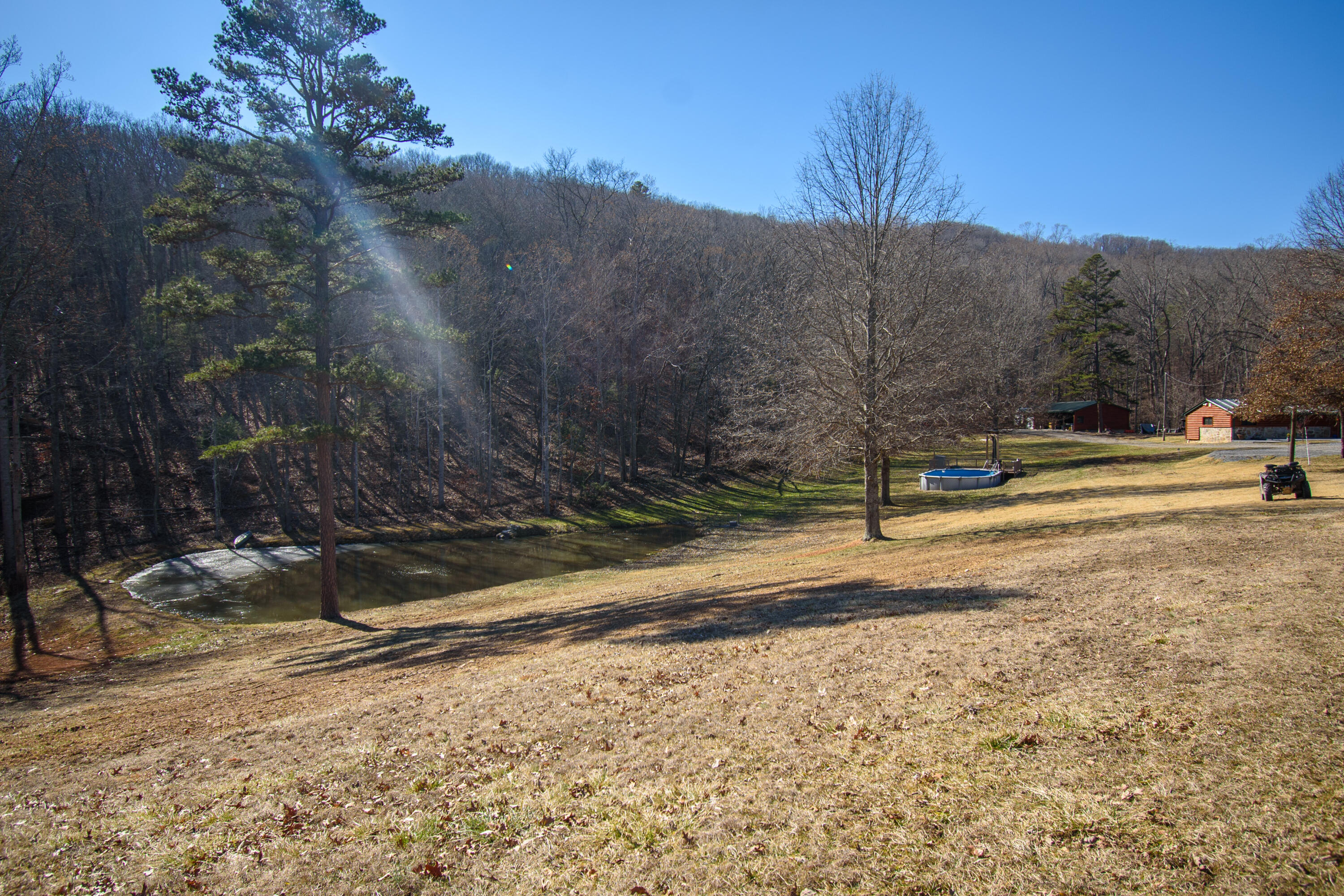 1804 Garlick Road Elliston, VA 24087 - Photo 62 of 95 a view of a yard with mountain view