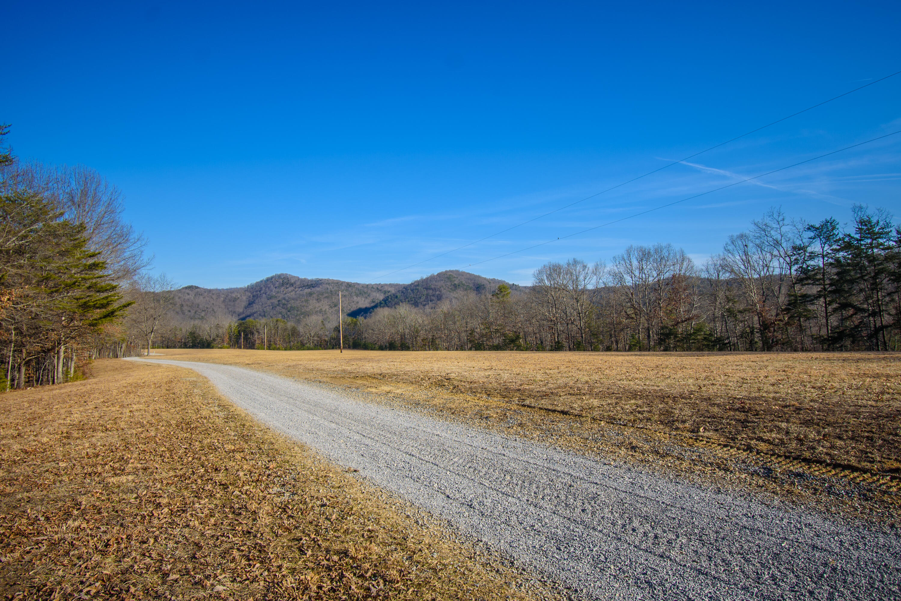 1804 Garlick Road Elliston, VA 24087 - Photo 69 of 95 Garlik_67