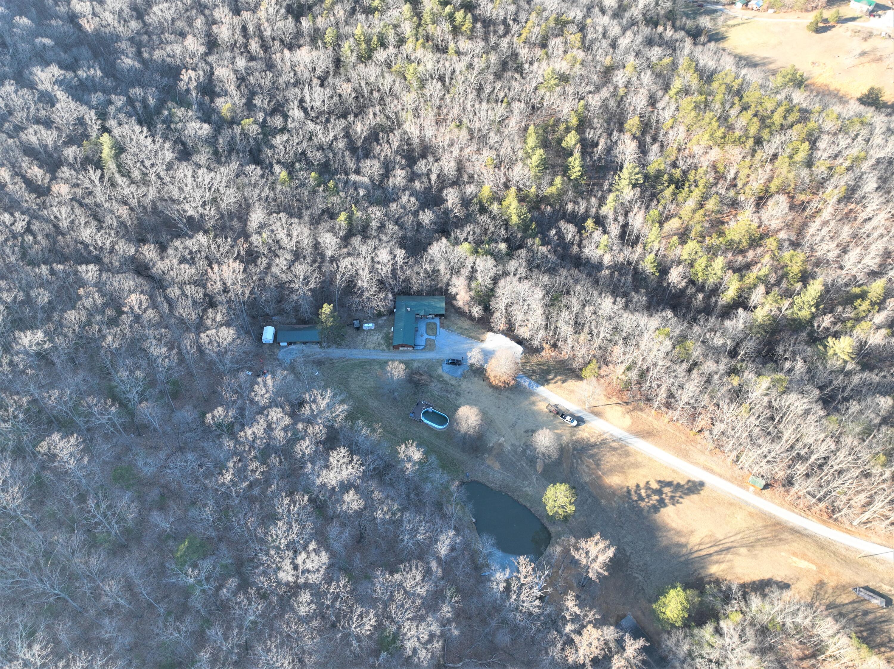 1804 Garlick Road Elliston, VA 24087 - Photo 72 of 95 a view of tree