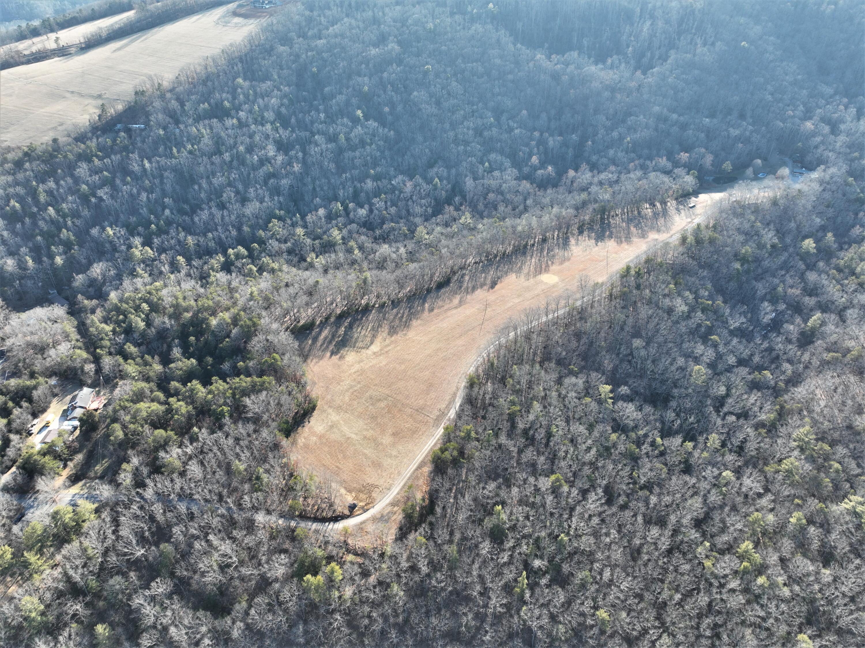 1804 Garlick Road Elliston, VA 24087 - Photo 83 of 95 a view of a yard in a forest