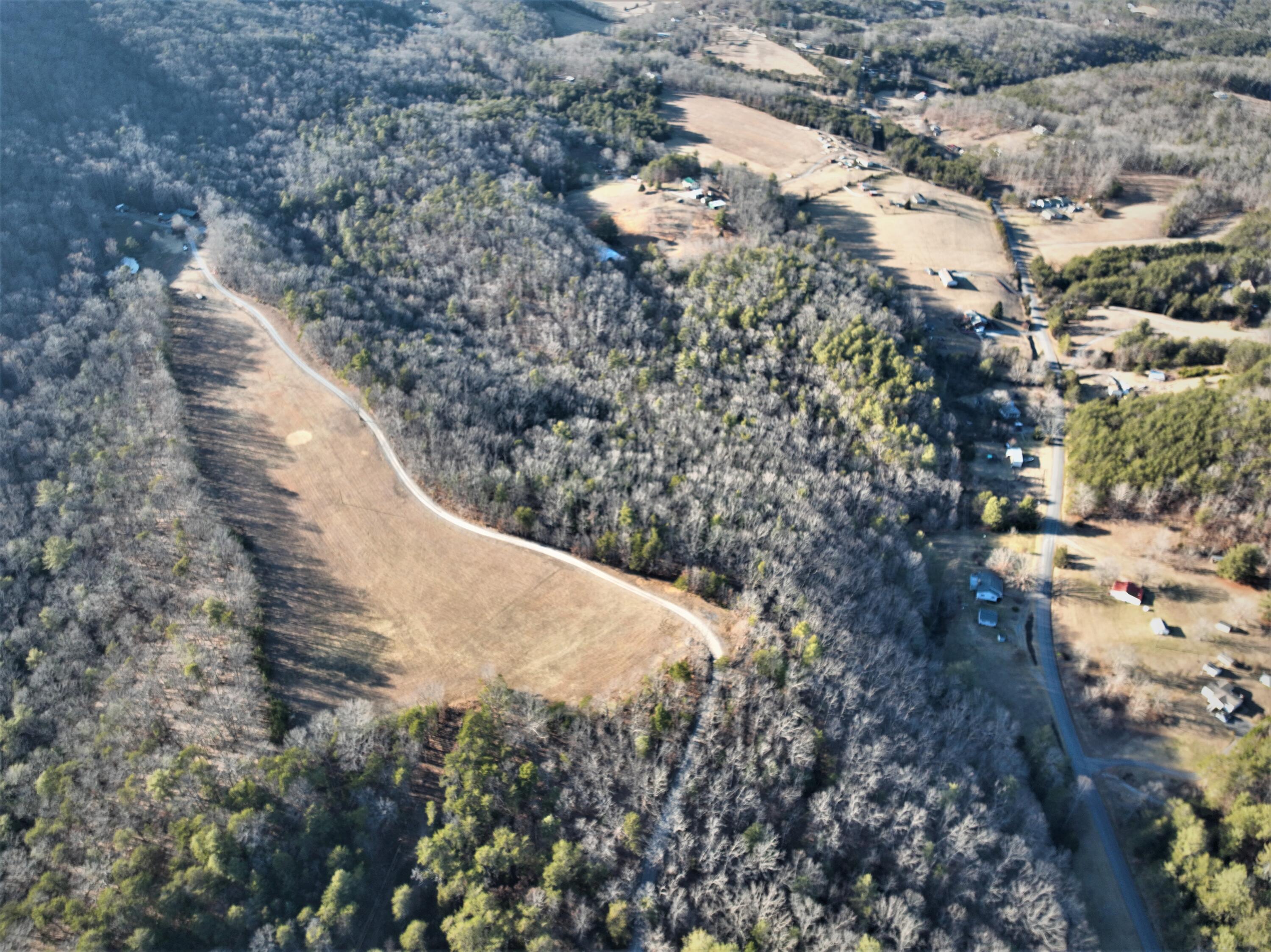 1804 Garlick Road Elliston, VA 24087 - Photo 89 of 95 a view of a yard with a tree