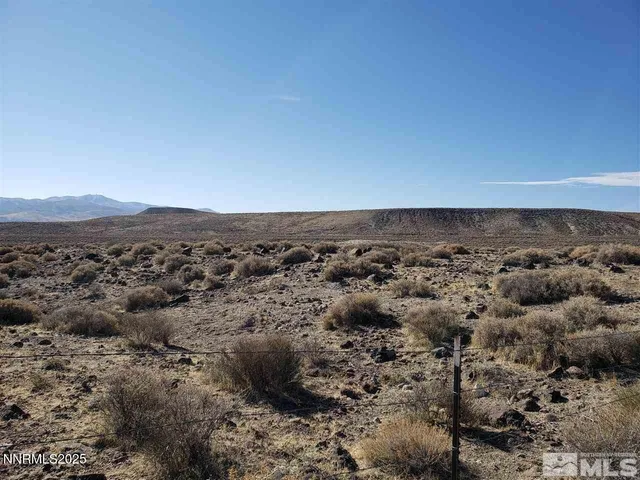 an aerial view of houses covered in trees