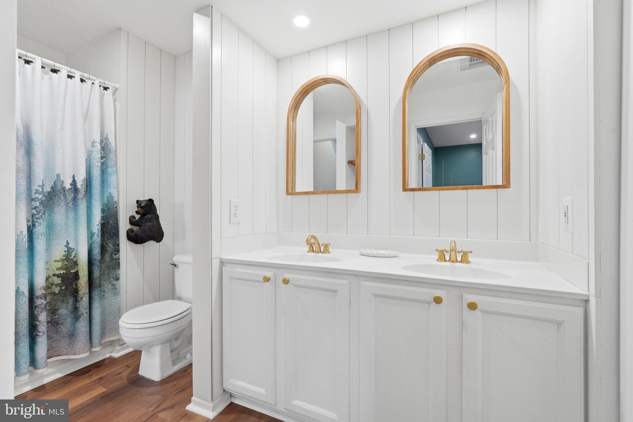 13513 Giant Court Germantown, MD 20874 - Photo 21 of 37 a bathroom with a toilet a sink and mirror