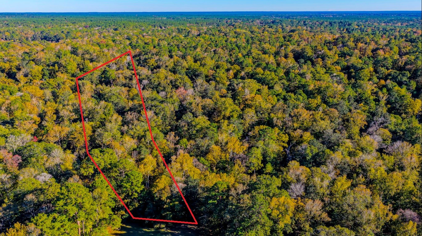 Tbd2 Rolling Rdg Road Goodrich, TX 77335 - Photo 1 of 4 a view of a yard with an outdoor space