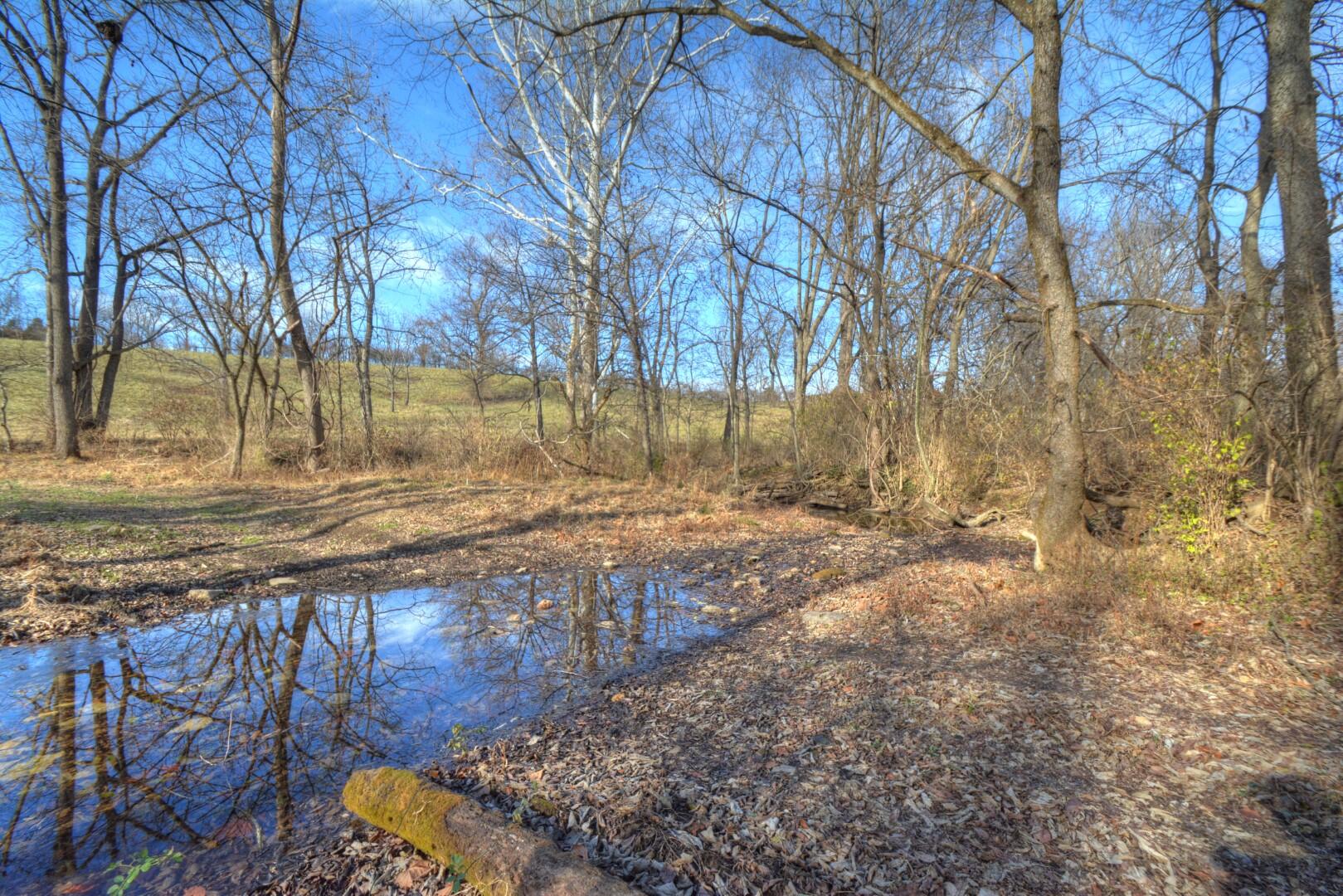 2926 Cummins Ferry Road Versailles, KY 40383 - Photo 26 of 42 Creek