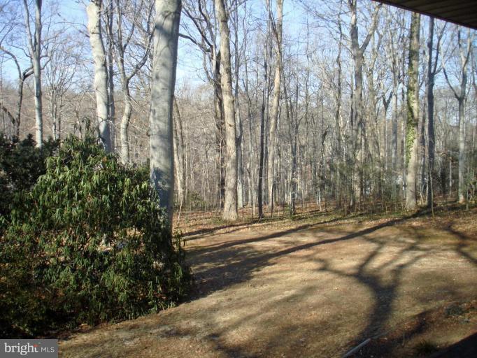 216 West Ring Factory Road Bel Air, MD 21014 - Photo 3 of 11 Private, level rear yard