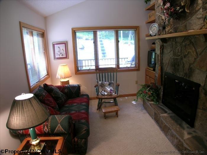 358 Brookside Road Davis, WV 26260 - Photo 5 of 18 Gallery Image 5