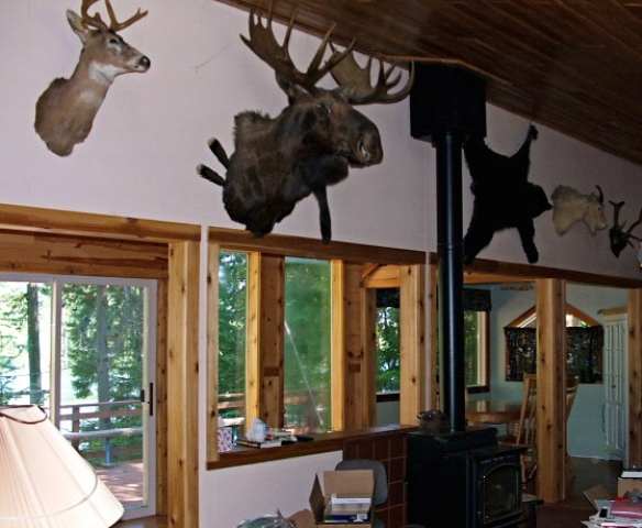 1237 Graham Road Cusick, WA 99119 - Photo 4 of 9