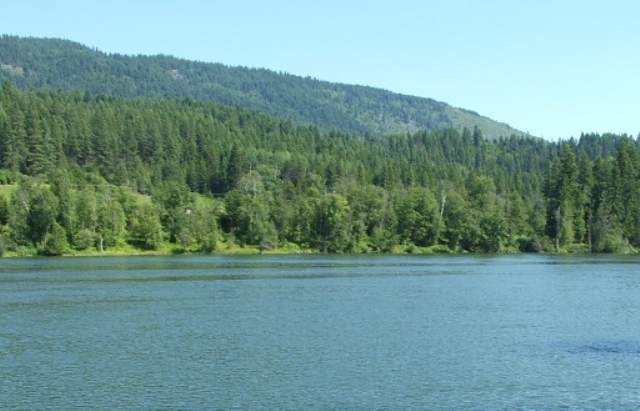 1237 Graham Road Cusick, WA 99119 - Photo 9 of 9