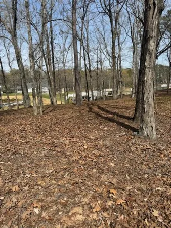 a view of a yard with trees