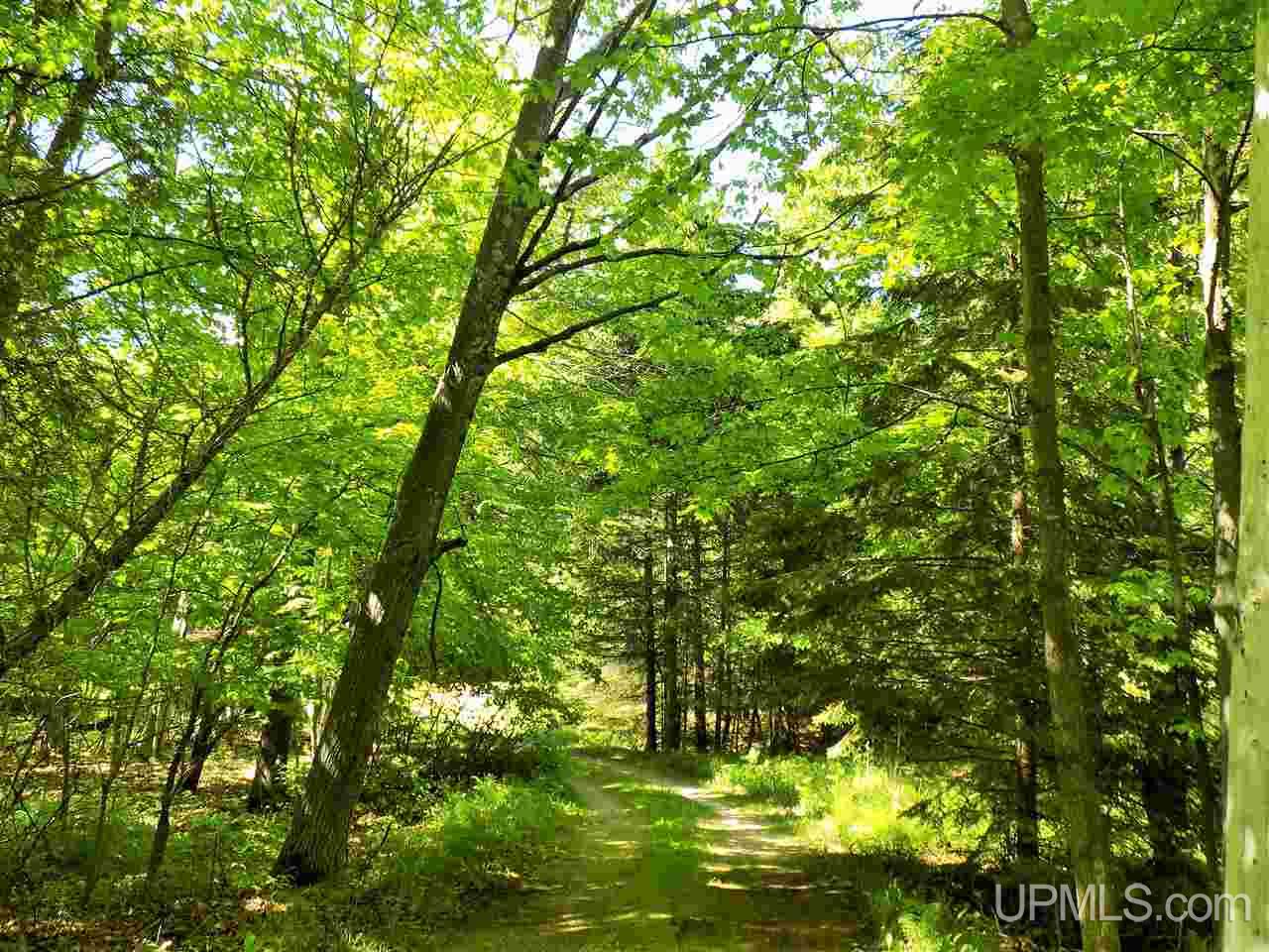12995 8th Road Garden, MI 49835 - Photo 19 of 50