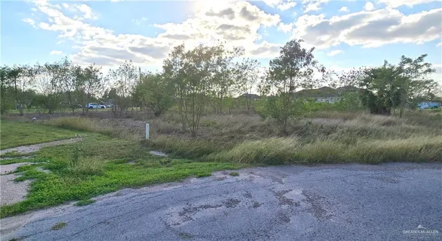 a view of a yard with a tree