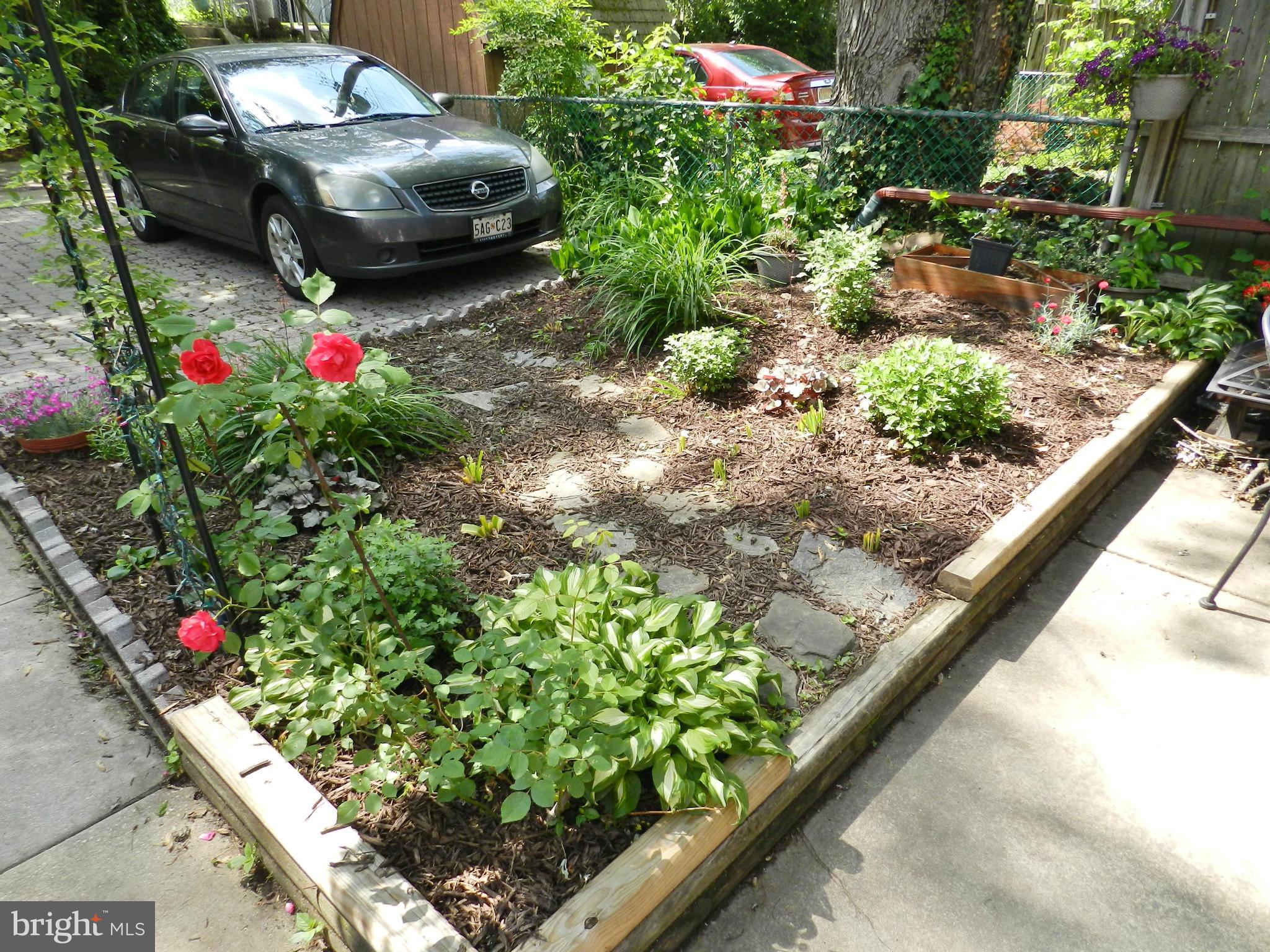 1807 Glen Ridge Road Baltimore, MD 21286 - Photo 5 of 29 Garden Area