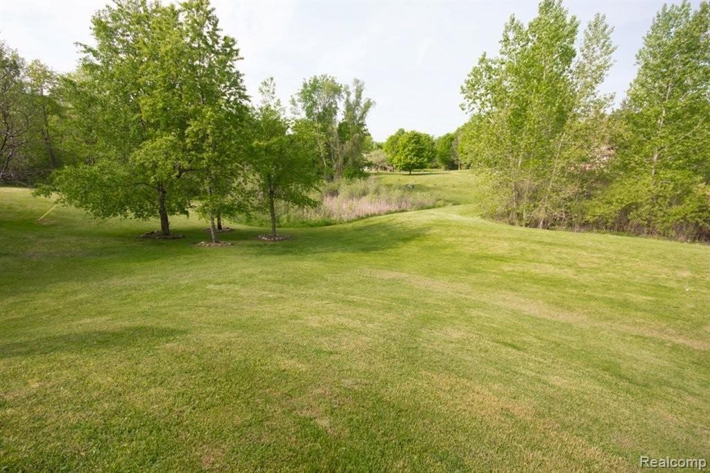 5990 Sutton Road Dryden, MI 48428 - Photo 5 of 24 Rear Yard 2.jpg