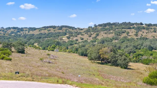a view of a yard with a street