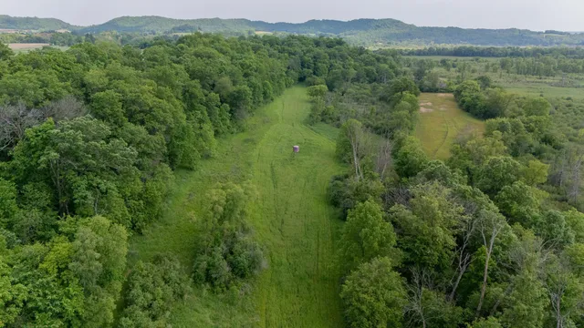 $750,000 | 0 County Road, Dodge, WI 54625