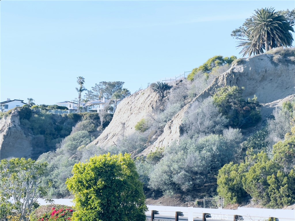 35091 Beach Road Dana Point, CA 92624 - Photo 27 of 27 a view of a dry yard with lots of green space