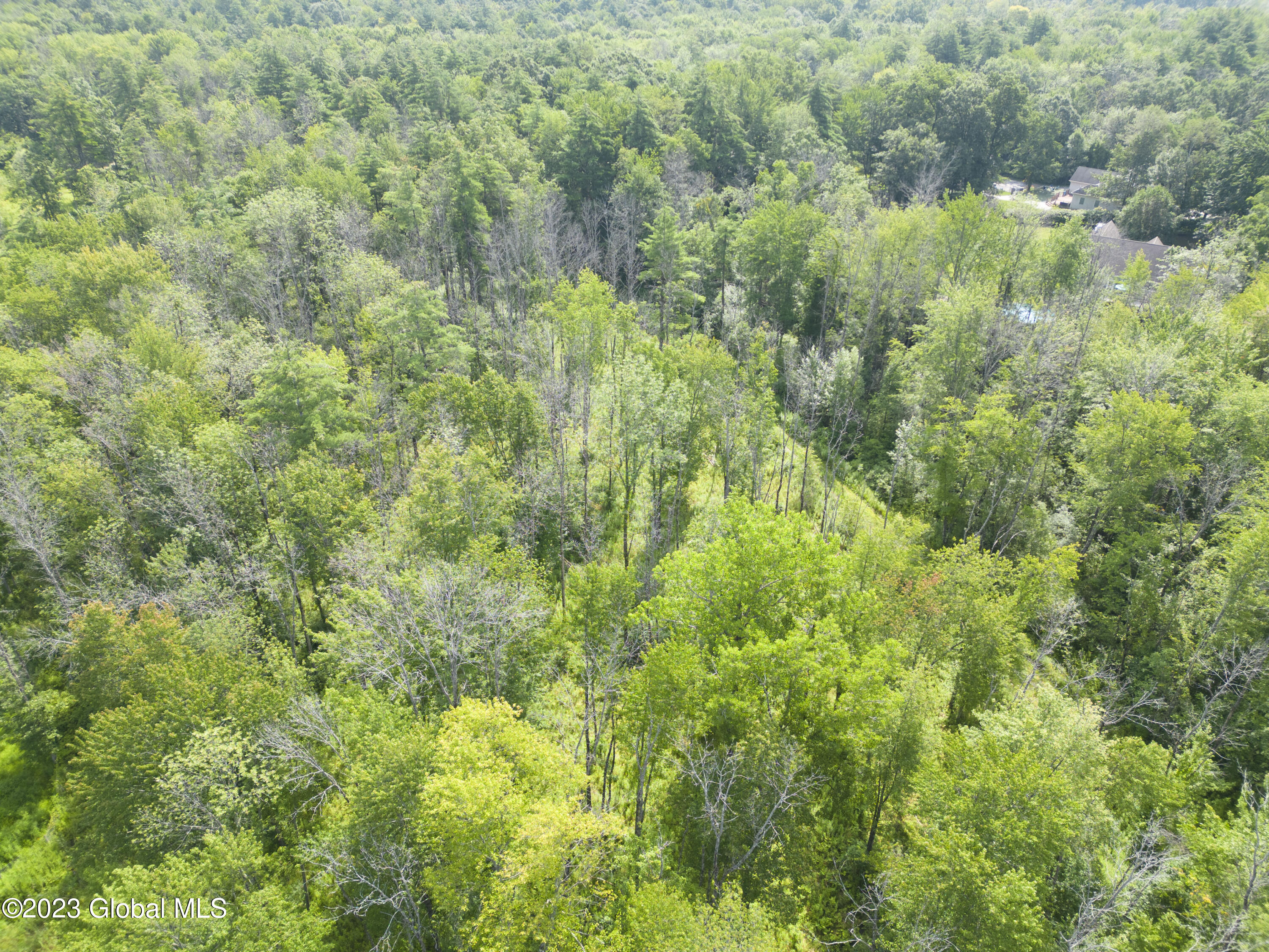 2090 Rowley Road Malta, NY 12020 - Photo 8 of 8 DJI_0009